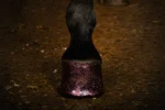 Glitzerhuflack Rosa, 150 ml – Excellent Horse Hi Gloss Glitter Hoof Polish – Bild 2