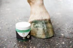 Glitzerhuflack Grün, 150 ml – Excellent Horse Hi Gloss Glitter Hoof Polish – Bild 4