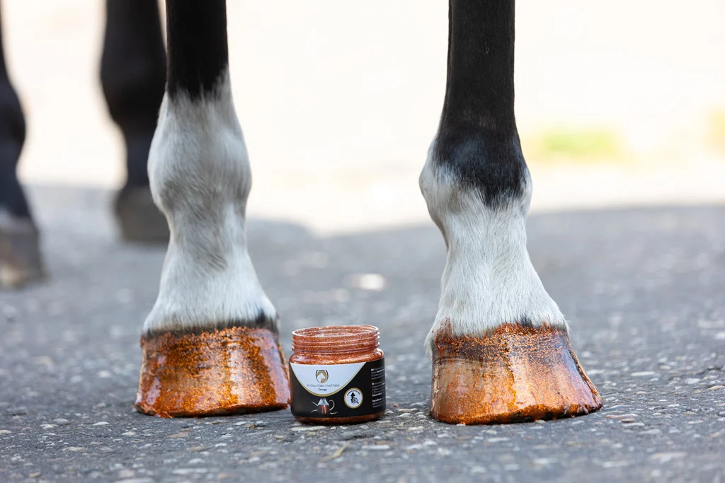 Glitzer Huflack Orange, 150 ml – Excellent Horse Hi Gloss Glitter Hoof Polish – Bild 3