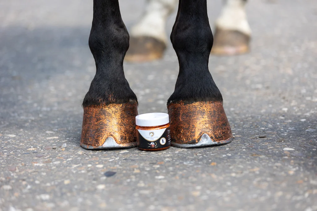 Glitzer Huflack Orange, 150 ml – Excellent Horse Hi Gloss Glitter Hoof Polish – Bild 2