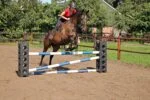 Hindernisblock für das Springtraining, 41,5 x 30 x 30 cm – Excellent Horse Cube – Bild 3