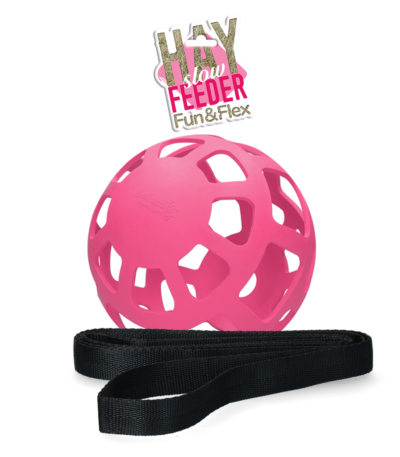 Heuball für Pferde aus Naturkautschuk, Rosa, Durchmesser ca. 22 cm – Hay Slow Feeder Fun & Flex