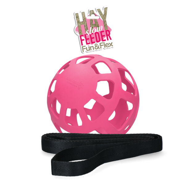 Heuball für Pferde aus Naturkautschuk, Rosa, Durchmesser ca. 22 cm – Hay Slow Feeder Fun & Flex