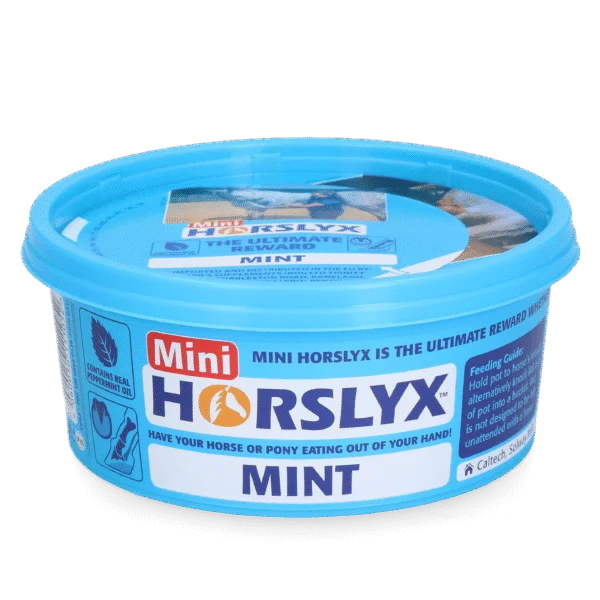 Leckstein für Pferde als Belohnung, 650 g – Horslyx Mini Mint