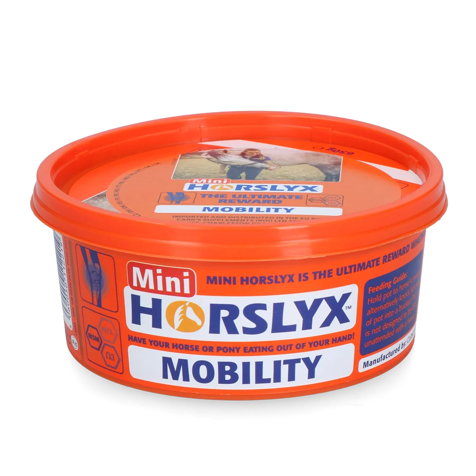 Leckstein für Pferde als Belohnung, 650 g – Horslyx Mini Mobilität – Bild 1