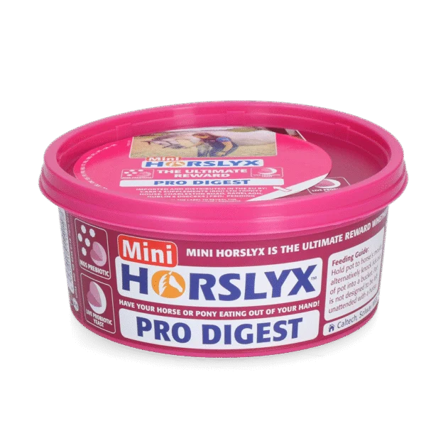 Leckstein für Pferde als Belohnung, 650 g – Horslyx Mini Verdauung