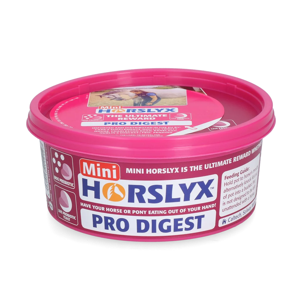 HORSL015.png Leckstein für Pferde als Belohnung, 650 g – Horslyx Mini Verdauung – Bild 1