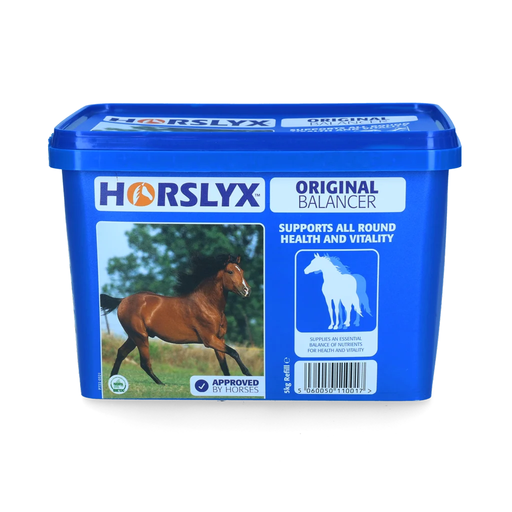 Leckstein für Pferde als Belohnung, 5 kg – Horslyx Original – Bild 1