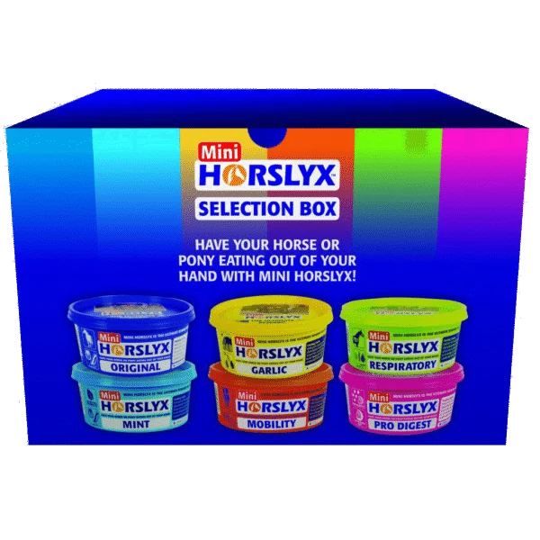 Lecksteine für Pferde als Belohnung, 6 x 650 g – Horslyx Mini Selection Box