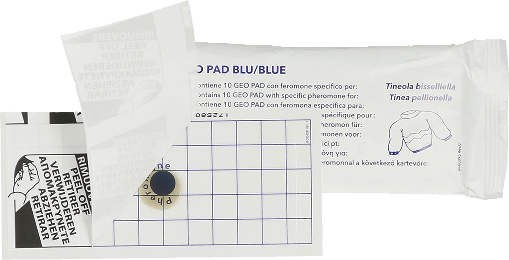 Klebeplatte für Kleidermotten mit Pheromon, 13 x 6 cm, 10 Stück – Hofman Pest Control Geo – Bild 1