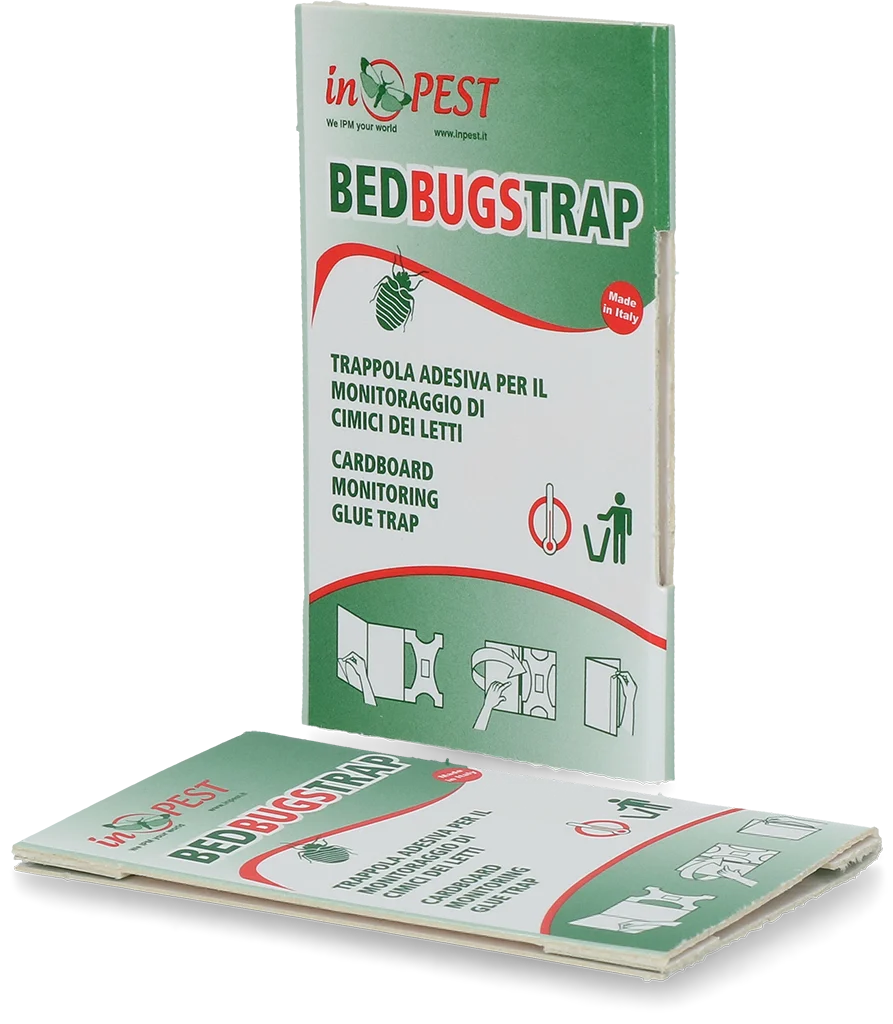 Bettwanzen Überwachungsfalle mit Klebefläche, 16 x 8,5 cm, 10 Stück – Hofman Pest Control – Bild 1