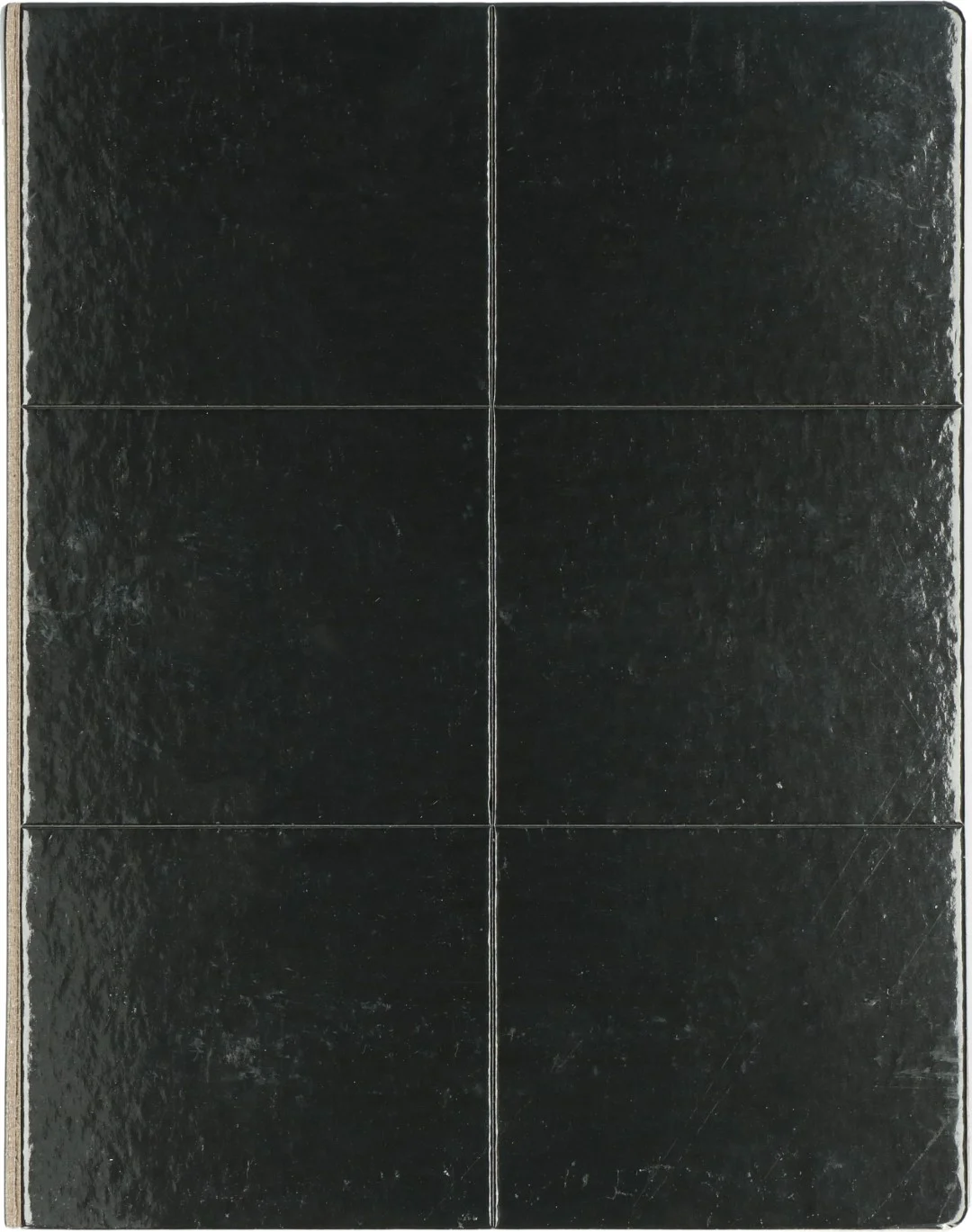 Insektenklebeplatte in Buchform, Schwarz, 22 x 17 cm – Hofman Pest Control – Bild 3