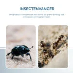 Insektenklebeplatte in Buchform, Schwarz, 22 x 17 cm – Hofman Pest Control – Bild 5