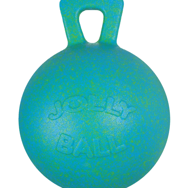 Pferdespielball Ozeangrün mit Apfelduft, 25 cm – Jolly Pets Jolly Ball