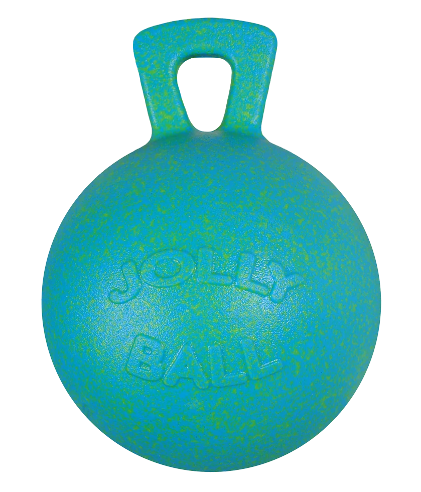 JOLL0085.png Pferdespielball Ozeangrün mit Apfelduft, 25 cm – Jolly Pets Jolly Ball – Bild 1