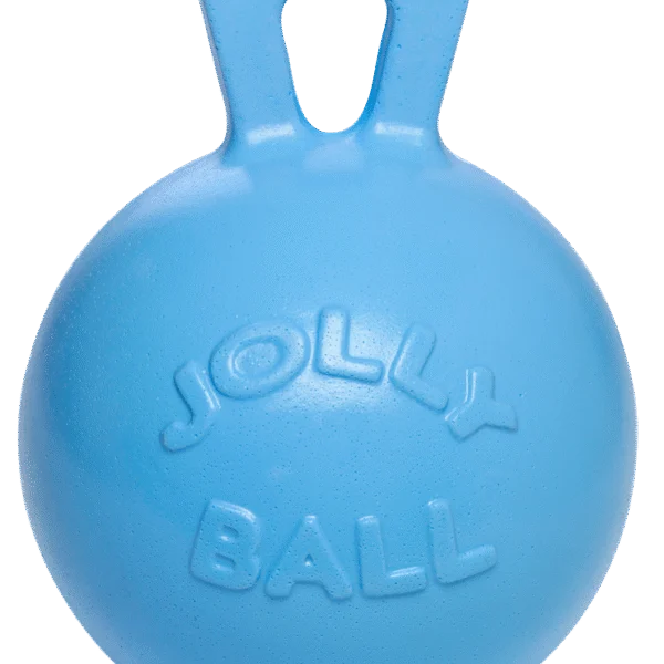 Pferdespielball Blau mit Blaubeerduft, 25 cm – Jolly Pets Jolly Ball