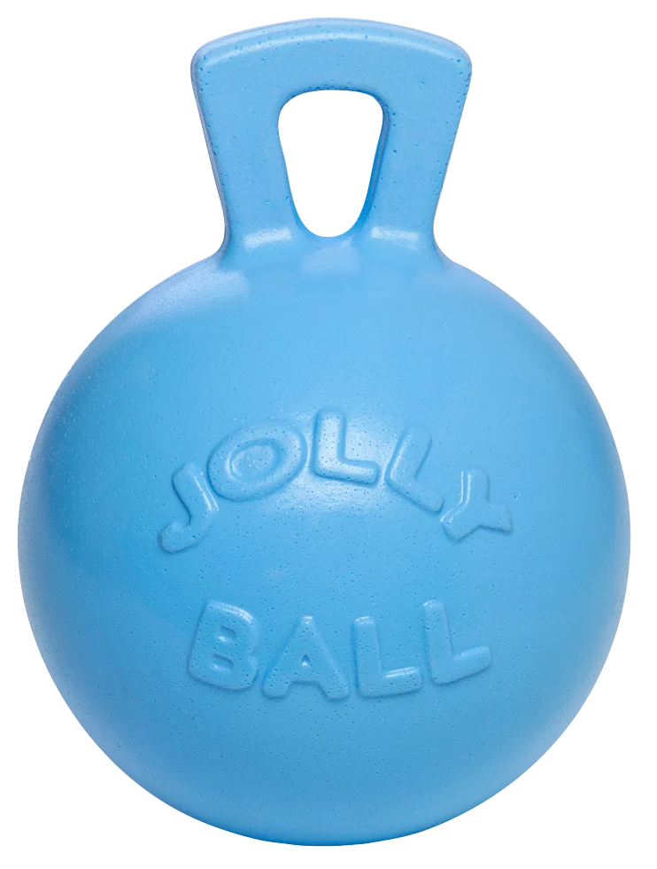 JOLL008A.png Pferdespielball Blau mit Blaubeerduft, 25 cm – Jolly Pets Jolly Ball – Bild 1
