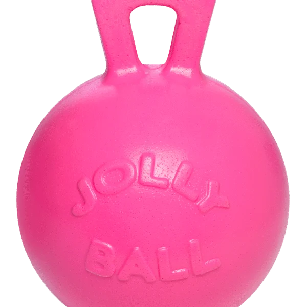Pferdespielball mit Bubblegumduft, Rosa, 25 cm – Jolly Pets Jolly Ball