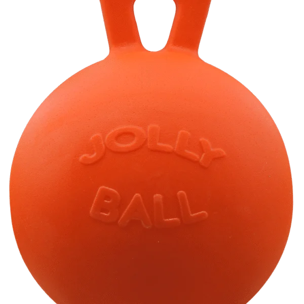 Pferdespielball orange mit Vanilleduft, 25 cm – Jolly Pets Jolly Ball
