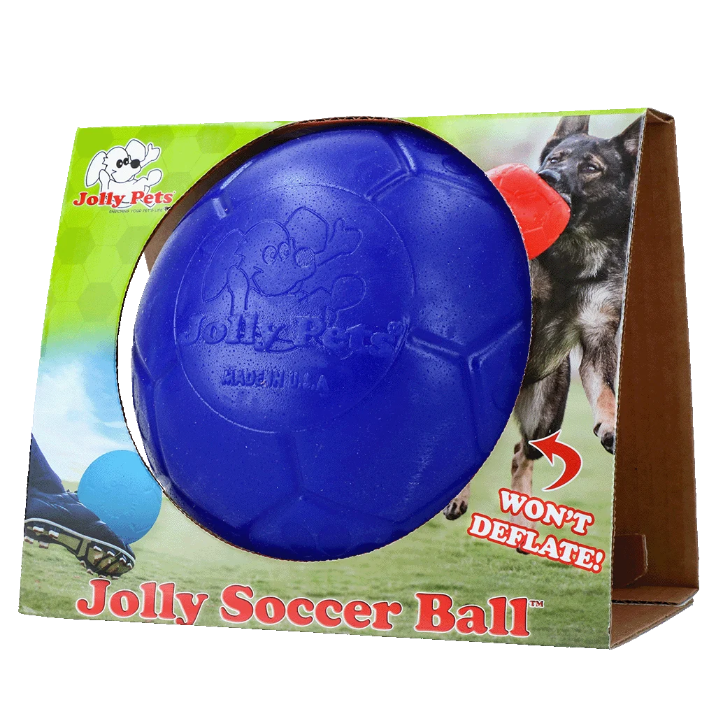 Schwimmender Hundeball, Blau, 20 cm – Jolly Pets Soccer Ball – Bild 1