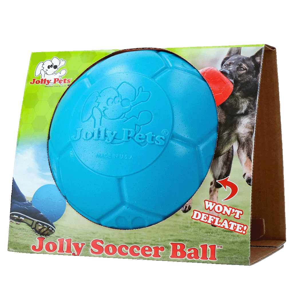 Hundeball zum Apportieren, hellblau, 20 cm – Jolly Pets Jolly Soccer Ball – Bild 1