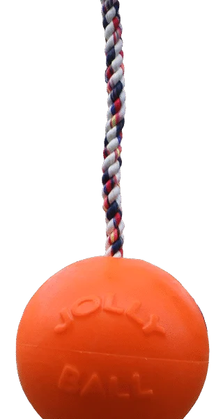 Hundeball mit Seil, schwimmfähig, Vanille L (20 cm) – Jolly Pets Romp-n-Roll