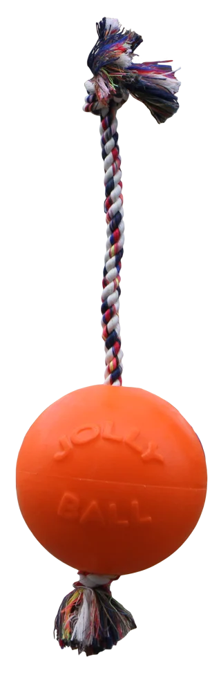 Hundeball mit Seil, schwimmfähig, Vanille L (20 cm) – Jolly Pets Romp-n-Roll – Bild 1