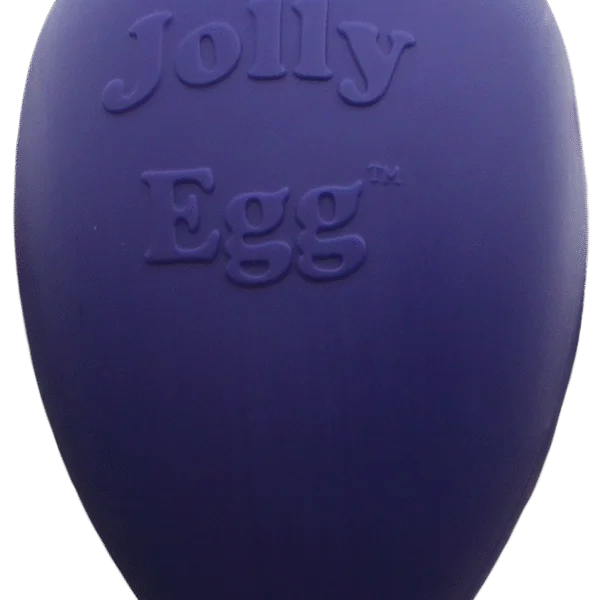 Hundespielzeug aus Kunststoff, Lila, 30 cm – Jolly Pets Egg