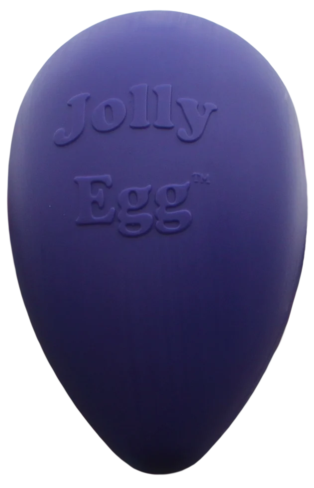 JOLL051S.png Hundespielzeug aus Kunststoff, Lila, 30 cm – Jolly Pets Egg – Bild 1