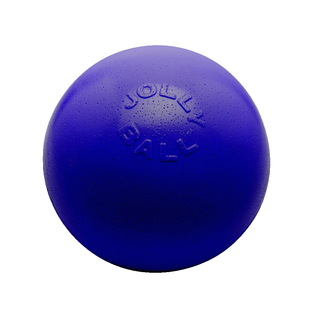 JOLL068FB.png Springender Hundeball, schwimmfähig, Blau M, 15 cm – Jolly Pets Bounce-n Play – Bild 1