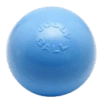 Springender Hundeball, schwimmfähig, Heidelbeere L, 20 cm – Jolly Pets Bounce-n-Play