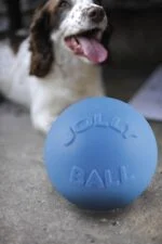 Springender Hundeball, schwimmfähig, Heidelbeere L, 20 cm – Jolly Pets Bounce-n-Play – Bild 4