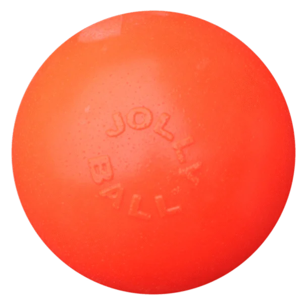 Hüpfender Hundeball, schwimmfähig, Vanille L, 20 cm – Jolly Pets Bounce-n Play