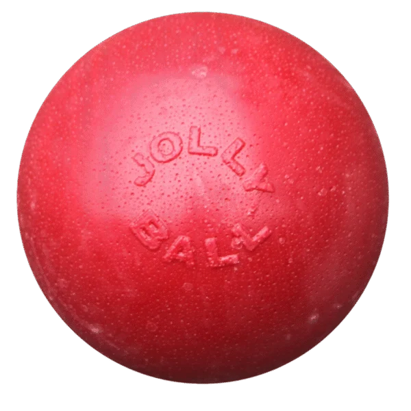 Hüpfender Hundeball, schwimmfähig, Rot L, 20 cm – Jolly Pets Bounce-n Play
