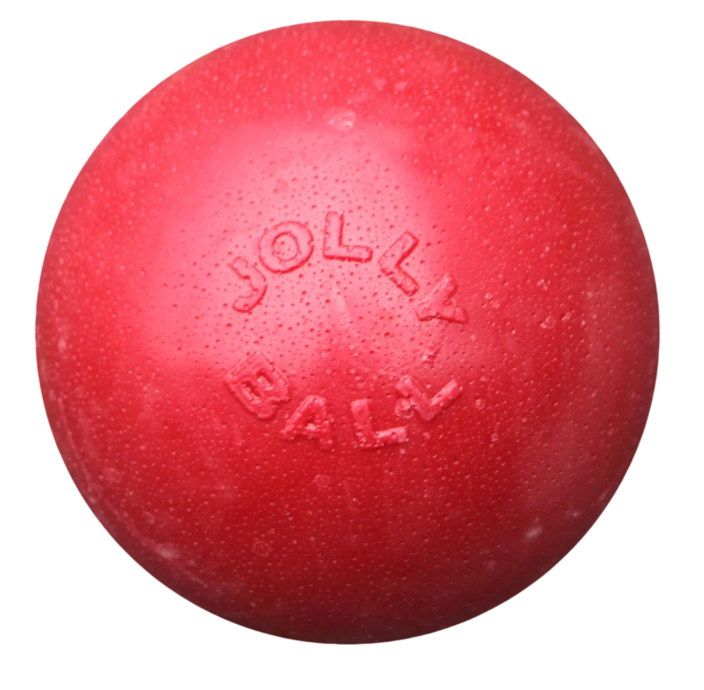 JOLL068N.png Hüpfender Hundeball, schwimmfähig, Rot L, 20 cm – Jolly Pets Bounce-n Play – Bild 1