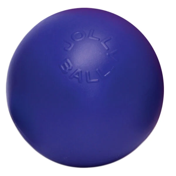 Hundeball mit glatter Oberfläche, Blau, 15 cm – Jolly Pets Push-n-Play