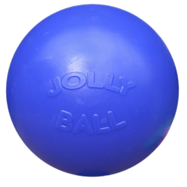 Hundeball mit glatter Oberfläche, Blau, 25 cm – Jolly Pets Push-n-Play