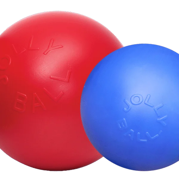 Hundeball mit glatter Oberfläche, Rot, 25 cm – Jolly Pets Push-n-Play