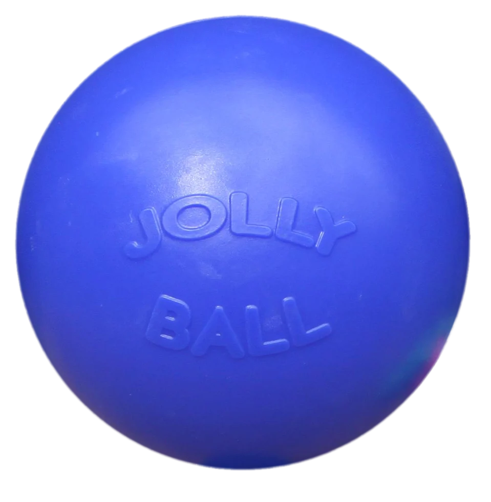 Hundeball mit glatter Oberfläche, Blau, 35 cm – Jolly Pets Push-n-Play – Bild 1