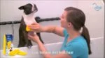 Silikon Hundebürste für kurzes Haar, Gelb – Pet + Me – Bild 6