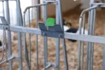 Eimerhalter mit Auswurfsicherung für Tränkeeimer – Kerbl Bucket Guard – Bild 2