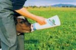 Kälbertränkeflasche mit Sauger, 2,5 l – Shoof Speedy Feeder – Bild 2