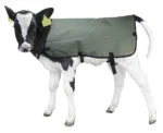 Wasserdichte und atmungsaktive Kälberdecke, Private Label, 70 cm – Hofman Animal Care Calf Coat – Bild 4