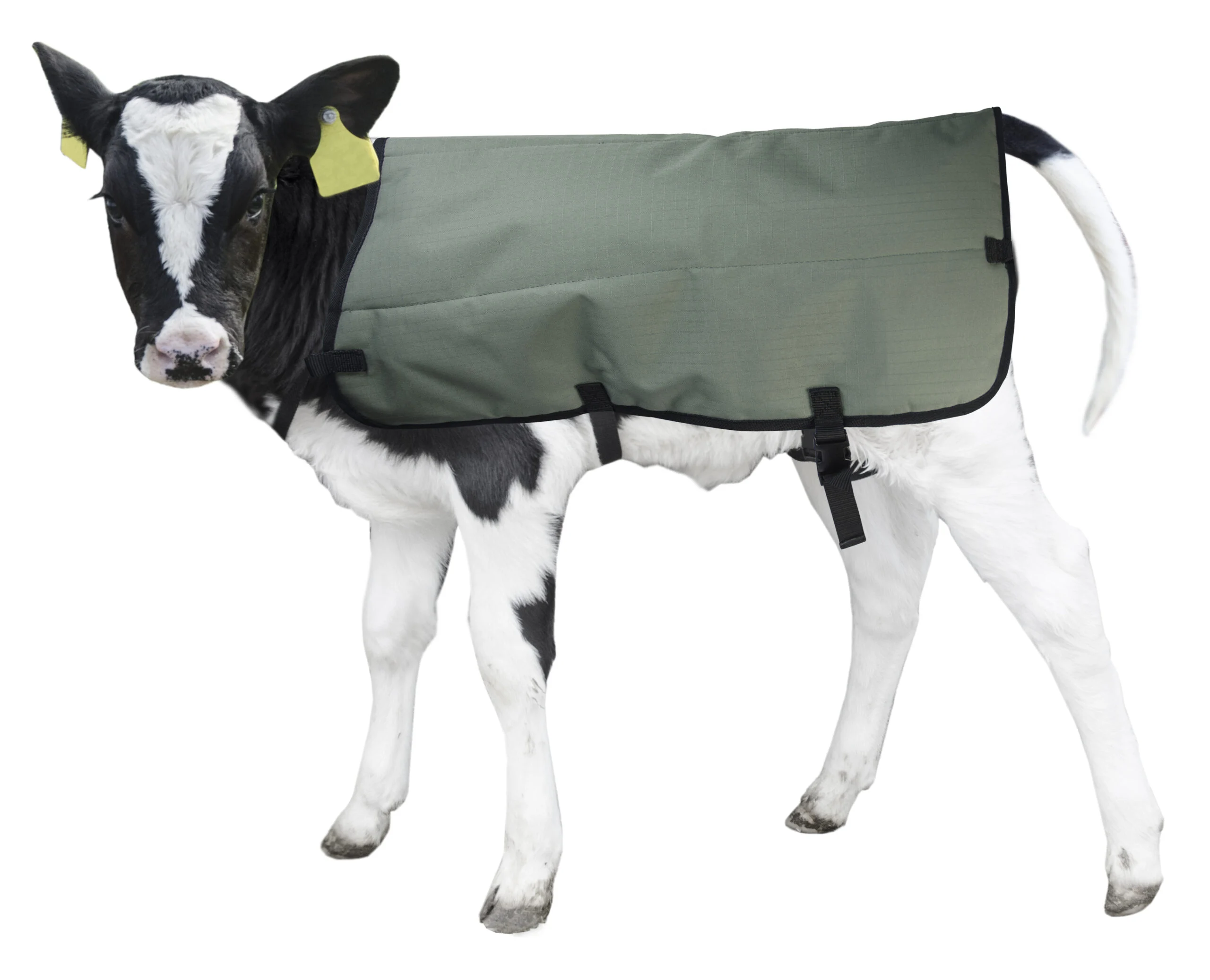 Wasserdichte und atmungsaktive Kälberdecke, Private Label, 70 cm – Hofman Animal Care Calf Coat – Bild 4