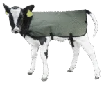 Wasserdichte und atmungsaktive Kälberdecke, 70 cm – Hofman Animal Care Calf Coat – Bild 2