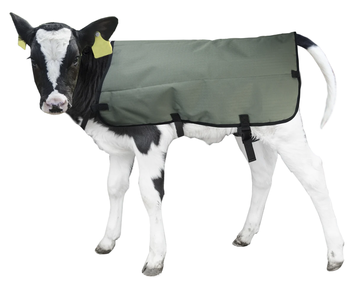 Wasserdichte und atmungsaktive Kälberdecke, 70 cm – Hofman Animal Care Calf Coat – Bild 2