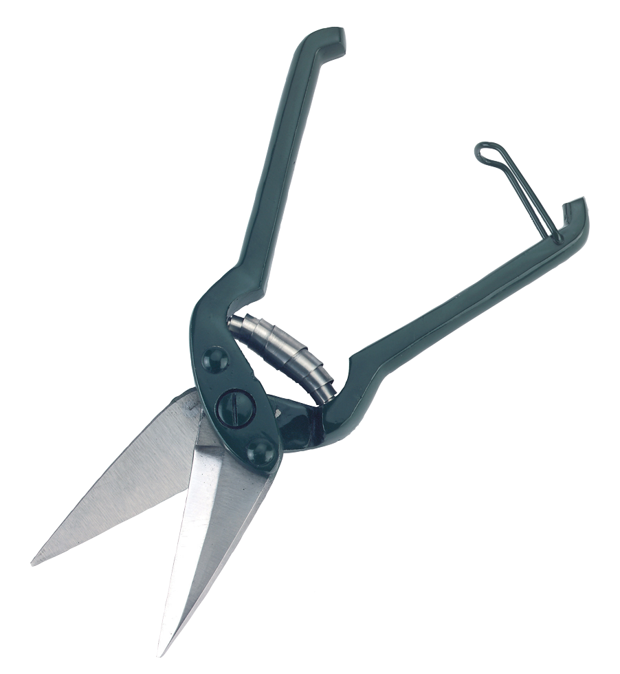Klauwschaar voor Schapen 26 cm Klauenschere für Schafe 26 cm