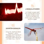 Mückenvertreiber mit Ultraschallsignalen, bis zu 30 m² – Knock Pest – Bild 6