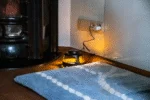 Insektenfalle mit warmem und blauem Licht, 5 Klebeflächen – Knock Pest – Bild 3