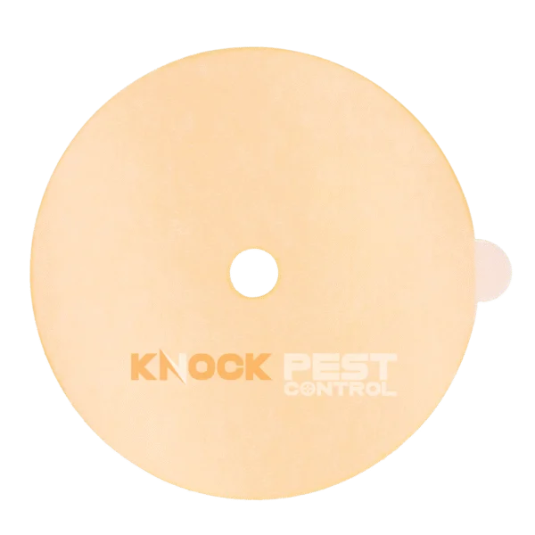 Klebefläche für Insektenfalle, giftfrei Ø 13,5 cm – Knock Pest